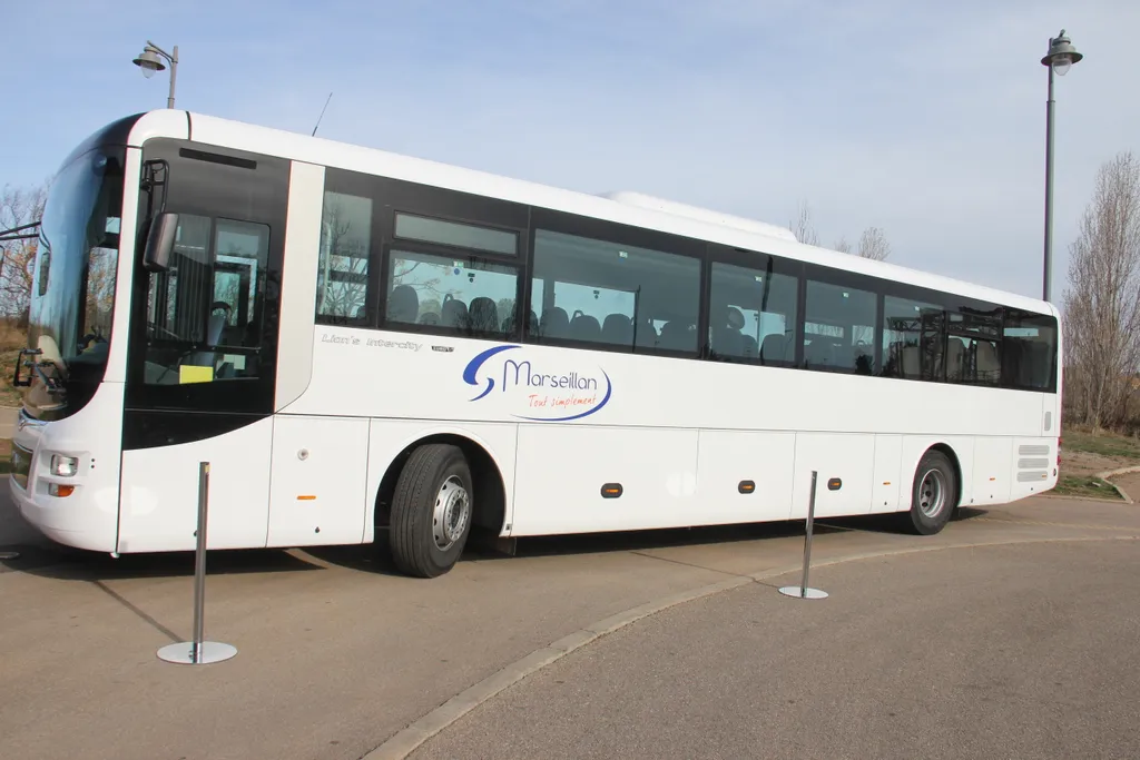 Bus
